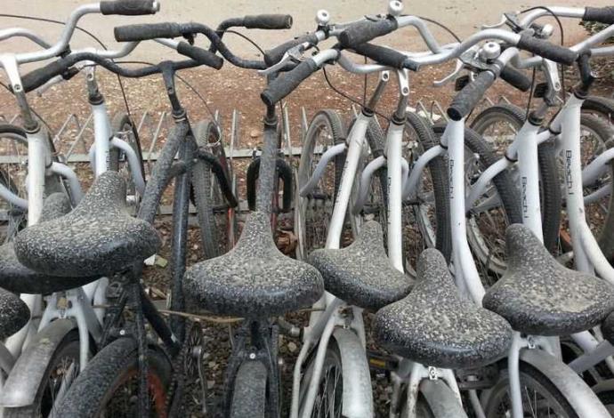 אופניים עם אבק בצפון הארץ (צילום:  יובל מורן)
