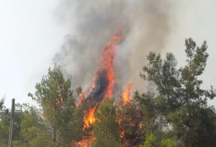 שריפה באזור הרי ירושלים  (צילום:  כבאות והצלה ירושלים)