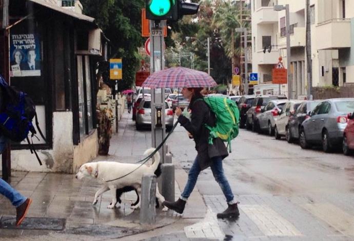 גשם בתל אביב (צילום:  אבשלום ששוני)